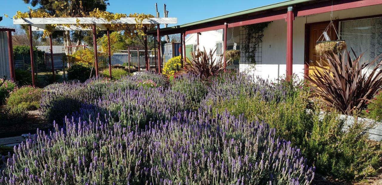 克伦斯汽车旅馆 Clunes 外观 照片